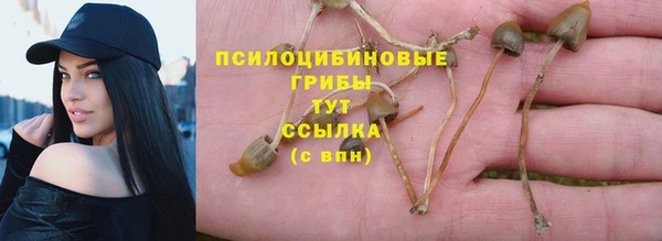 прущие грибы Богородск