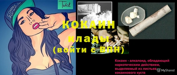 прущие грибы Богородск
