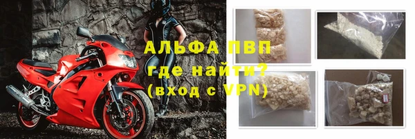 прущие грибы Богородск
