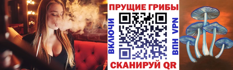 Галлюциногенные грибы Cubensis блэк спрут маркетплейс Бородино купить цена